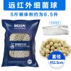 鱼缸过滤材料十合一细菌屋玻璃陶瓷环火山石珊瑚骨活性炭净水滤材 默认尺寸 远红外细菌球5斤
