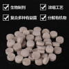 养鱼硝化细菌鱼缸净水剂开缸免换水片剂水族细菌_715 默认尺寸 硝亚灵1瓶（60粒）
