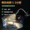 乌龟晒背灯全光谱爬宠陆龟蜥蜴太阳灯加热灯泡爬虫保温灯_1 默认尺寸 乌龟晒背灯短款（灯架+35W卤素灯泡）3C认证