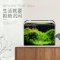 热弯鱼缸免换水懒人生态鱼缸小型水族箱超白玻璃金鱼缸水缸_1 默认尺寸 长60cm热弯超白缸