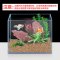 进口吸氨去味稳定PH净化水质鱼缸水族箱过滤材料底沙_2 默认尺寸 进口沸石1L（净水稳PH除臭）可当造景底沙