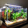 加宽超白玻璃鱼缸客厅小型生态水族箱水缸中型桌面金鱼缸 默认尺寸 金晶超白玻璃HEK-380加宽裸缸（带底膜）