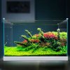 加宽超白玻璃鱼缸客厅小型生态水族箱水缸中型桌面金鱼缸 默认尺寸 金晶超白玻璃HEK-480+灯+过滤器