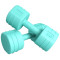 哑铃女士一对瘦手臂儿童家用健身器材2/3/4/5kg闪电客初学者小哑铃男士 六角款（玫红色）2kg=1kg*2只