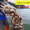 【优先发货】细丝餐鱼网粘网沉网浮网白条1指小鱼网1米高6分7分8分9分三层渔网_743 三层沉网1.3米高7分眼50米长