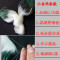 【优先发货】抓小白条鱼网粘网单层沉网浮网细丝6分7分1指1.5指丝网渔网 0.8米7分眼50米长浮网
