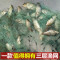 【优先发货】鱼网粘网三层渔网丝网挂网拦河工具渔具沾网粘鱼网网鱼网 3米高6指100米三层沉网