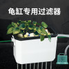 乌龟缸低水位过滤器抽水泵换水器过滤增氧循环四合一鱼缸过滤器_1 默认尺寸 U型盒大号+水泵