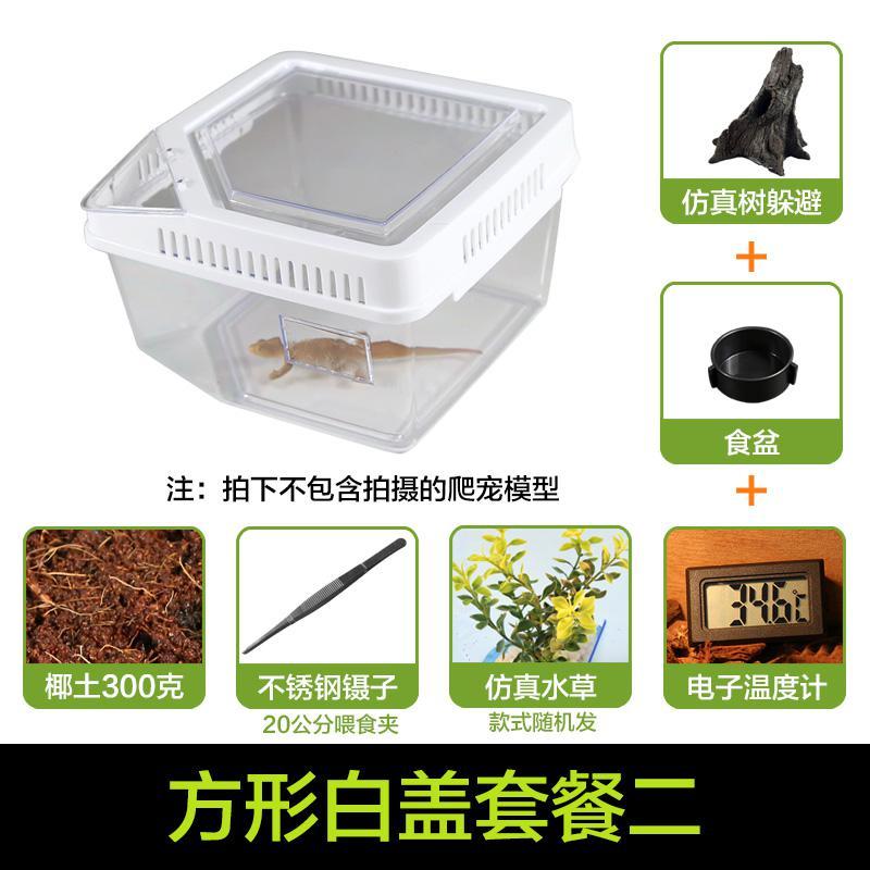 小号饲养箱塑料透明蝎子守宫蜥蜴养殖箱陆龟昆虫鸣虫饲养盒_1_223 默认尺寸 方形白盖套餐二