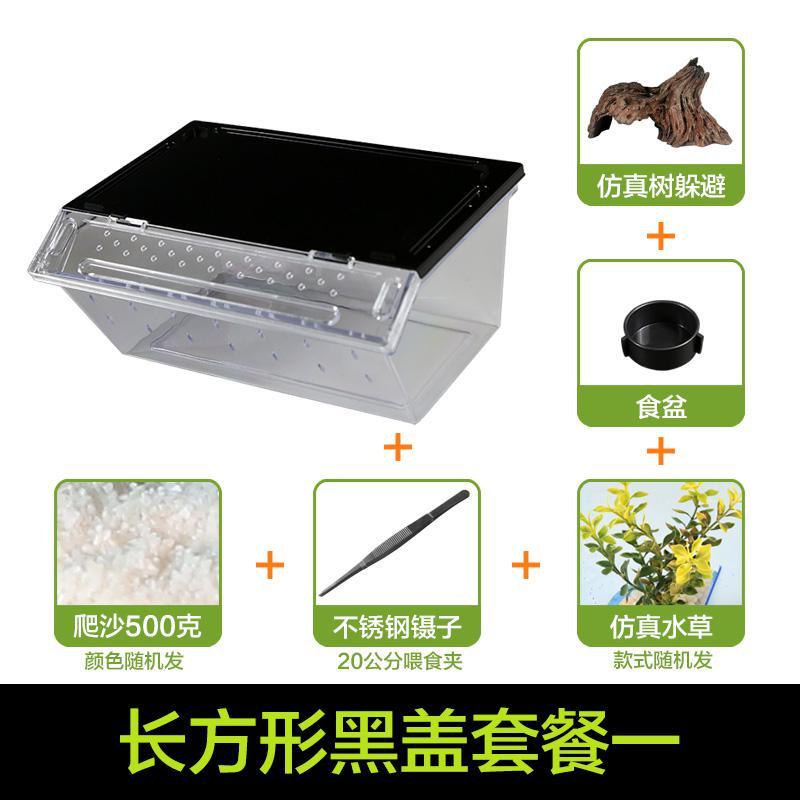 小号饲养箱塑料透明蝎子守宫蜥蜴养殖箱陆龟昆虫鸣虫饲养盒_1_223 默认尺寸 长方形黑盖套餐一