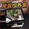 小号饲养箱塑料透明蝎子守宫蜥蜴养殖箱陆龟昆虫鸣虫饲养盒_1_223 默认尺寸 方形白盖套餐一
