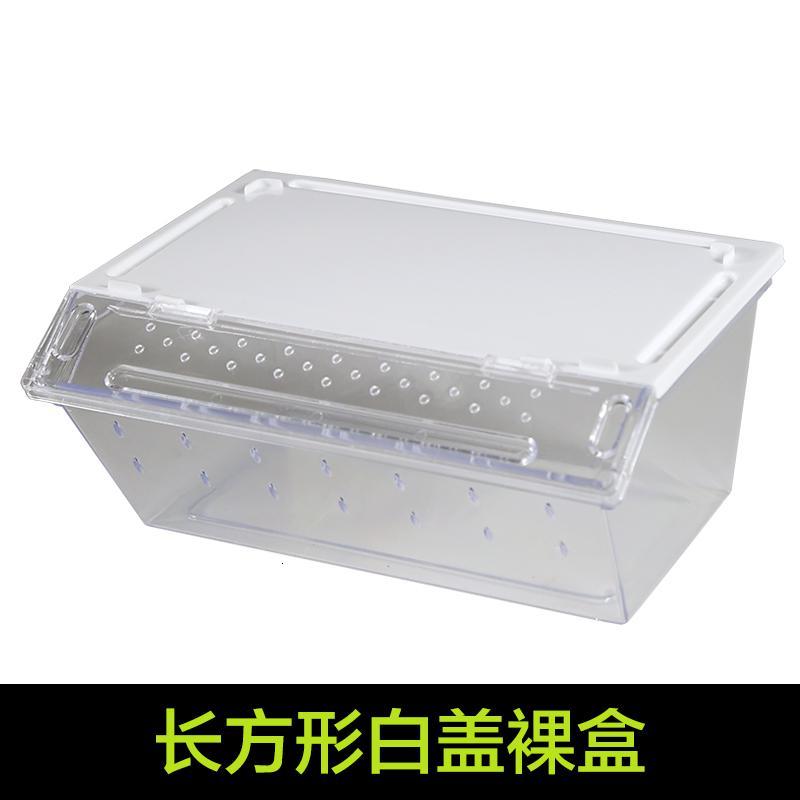 小号饲养箱塑料透明蝎子守宫蜥蜴养殖箱陆龟昆虫鸣虫饲养盒_1_223 默认尺寸 长方形白盖裸盒