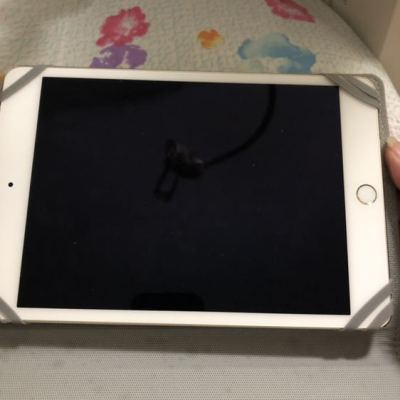 Apple iPad mini 4 7.9英寸 平板电脑(128G WiFi版 MK9Q2CH/A)金色晒单图