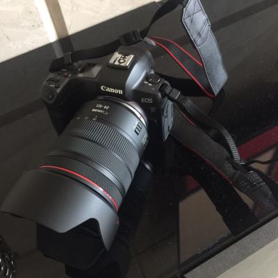 佳能（Canon）EOS R（RF24-105mm F4 L IS USM）数码相机全画幅专业微单套装 约3030万像素晒单图