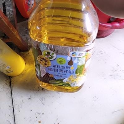 中粮 初萃(CHUCUI) 菜籽食用调和油5L 桶装粮油 调和油 食用油新老包装随机发货晒单图
