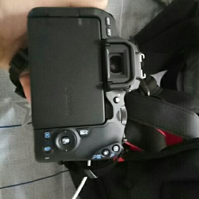 佳能（Canon）迷你单反EOS 200D（18-55）黑色数码相机单反单镜头套装 约2420万像素晒单图
