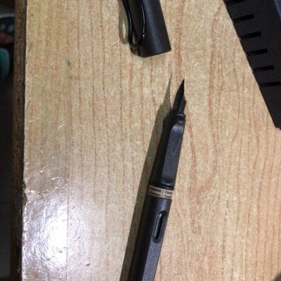 【五月天同款】LAMY凌美 德国原装进口 safari狩猎者钢笔签字笔 时尚男女商务办公礼品笔 F尖0.7mm 1支 磨砂黑晒单图