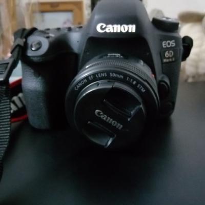 佳能（Canon）EOS 6D2 数码相机专业单反机身 全画幅CMOS 锂电池LP-E6N 约2620万像晒单图