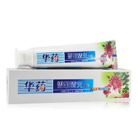 华药 雪菊清火牙膏(天山雪菊)105g