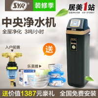 汉斯希尔（SYR） WS-3002-19 中央净水机 全屋净水机
