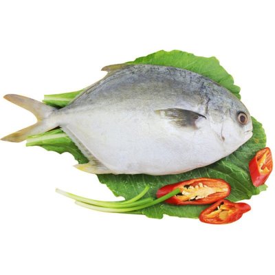 金御丰海鲜 新鲜冰冻 舟山平鱼 精选平鱼 鲳鱼 200-300g/条