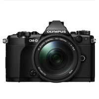 奥林巴斯（OLYMPUS）E-M5 Mark II（14-150mm II） 微型单电套机（1610万像素 可翻转触摸屏 内置WiFi）黑色