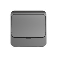 嘟嘟智能开关（DUDU Smart Switch）一开