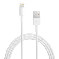 苹果（Apple）MD818FE/A Lightning to USB iPhone/iPad/iPod 连接线/数据