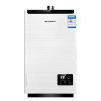 前锋(CHIFFO）JSQ20-DSH386 恒温 强排式天燃气热水器 10L