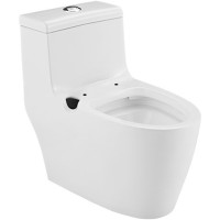 松下连体马桶虹吸式坐便器300坑距 洁身器5225套餐