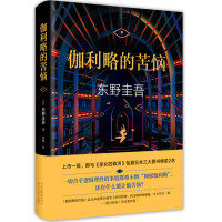 伽利略的苦恼：《嫌疑人X的献身》之后的故事