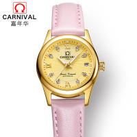 瑞士嘉年华CARNIVAL手表 新款全自动机械表 女士日历夜光防水女表休闲时尚商务手表金属精钢表带品牌女神表183-女款 土豪金色粉皮
