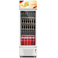 德玛仕（DEMASHI）商用展示柜冷藏单门风冷LG-300F