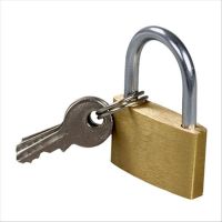 赛拓(SANTO) 薄型铜挂锁约30MM 铜锁 小锁 门锁 箱锁 锁具0053 30mm 通用型
