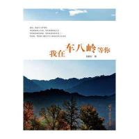 我在车八岭等你