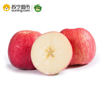 展卉 甘肃静宁苹果 简装4个装 单果重量约180g-210g 冷藏国产苹果类新鲜水果