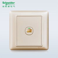 施耐德电气（Schneider Electric） 开关插座面板 睿意系列香槟金 单联电脑 睿意金 电脑插座