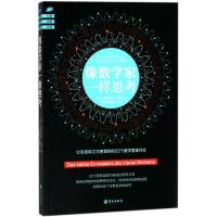 像数学家一样思考