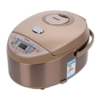 飞利浦(Philips) 炫金系列电饭煲 HD3065/05 （单位：台）
