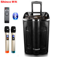 新科（Shinco）F12 广场舞音响 户外拉杆音箱 大功率蓝牙便携式插卡播放器扩音器 双话筒