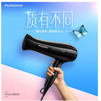 飞科 电吹风机 6231