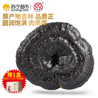 通惠东北灵芝250g/盒