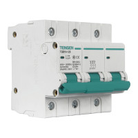 天正电气 TGB1N-125 2P C 80A 6kA AC400V 01060280018 微型断路器