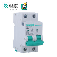 天正电气 空气开关 TGB1N-63 2P D 63A 6KA 01060270108微型断路器