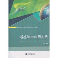 遥感综合应用实践