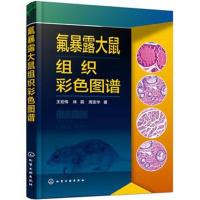 氟暴露大鼠组织彩色图谱