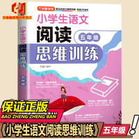 小学生语文阅读思维训练方法技巧阶梯五年级小学5年级教辅方洲新概念