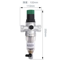 美国.滨特尔（PENTAIR）厨下式家用净水器中央前置过滤器BF-06-B 全屋净水机 大出水量0废水 自冲洗免换芯