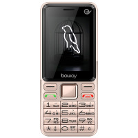 邦华（BOWAY） A9 铂光金