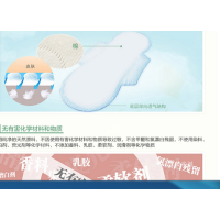 恩芝（Eun jee）韩国原装进口 卫生巾超薄夜用8片 285毫米